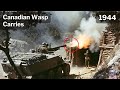 German Commander Saw Canadian Wasp Flamethrower Tanks… and Knew the Gothic Line Was Finished