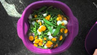 Tupperware Warmie Tup - Rhubarb
