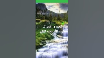 شهر رمضان القارئ معاذ أبوسعود