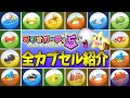 【ミラクルカプセル】マリオパーティ5 全アイテムカプセル紹介