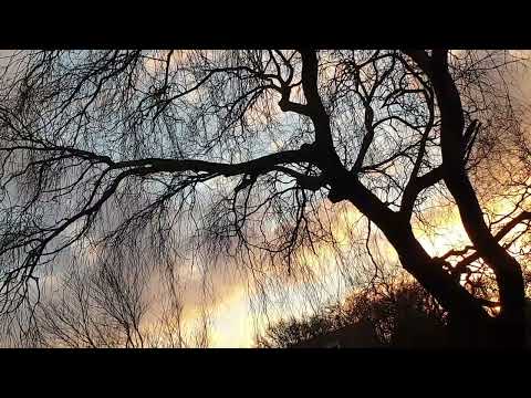 Kleurrijke Zonsondergang/02 Januari 2023/Verwondering/Mystery286