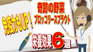 免疫力もUP！奇跡の野菜‼︎ブロッコリースプラウトの衝撃健康効果６選！！【雑パラ】