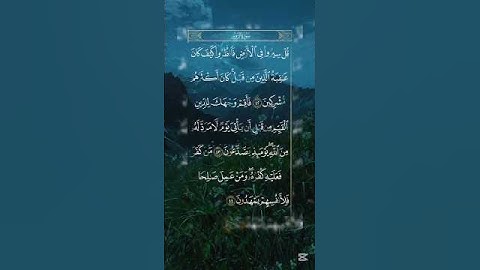 سورة الروم #القرآن_الكريم #سورة_الروم #تلاوة_خاشعة #تلاوه #quran #تلاوات