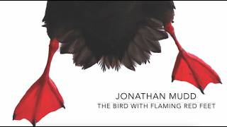 The Bird With Flaming Red Feet