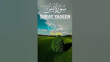 Al Yaseen | #اكسبلور #تلاوة_خاشعة #قرآن #قران_كريم #راحة_نفسية #ارح_قلبك #تلاوات