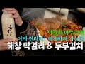 [백실장의 취미백가]캠핑 &amp; 페어링 4화 해창 막걸리와 두부김치 (물동네힐링캠핑장)
