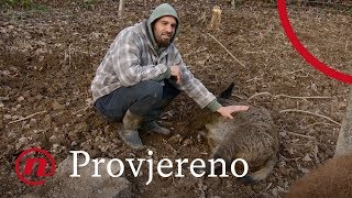 Provjereno - Poklonio sve i otišao živjeti u šumu