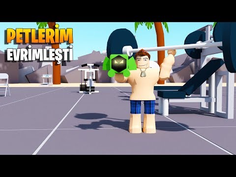 💪 Petlerimi Evrimleştirdim! Kas Efsaneleri! 💪 | Muscle Legends | Roblox Türkçe