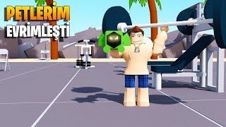 Petlerimi Evrimleştirdim! Kas Efsaneleri!  | Muscle Legends | Roblox Türkçe