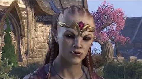 👀 NPC Diaries: HOW long?