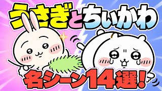 ちいかわとうさぎの名シーン14選！アニメ＆漫画の仲良しエピソード