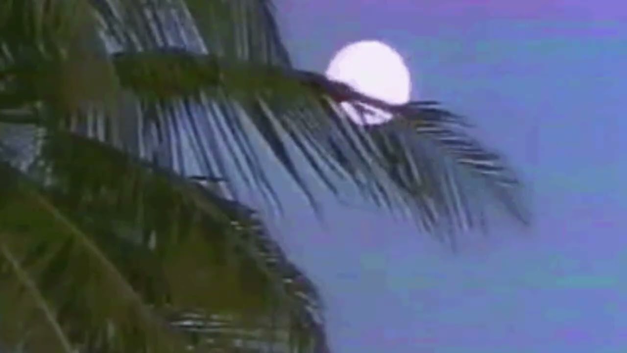 SK Ita - Skarlate ( 𝙎𝙡𝙤𝙬𝙚𝙙 + 𝙧𝙚𝙫𝙚𝙧𝙗 )