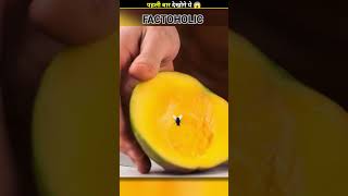 how flies actually eat your food
