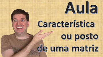 O que é uma característica de uma matriz?