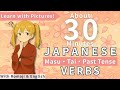 Learn Japanese Verbs in About 30 Minutes | Masu Form, Tai Form & Past Tense with Illustrations