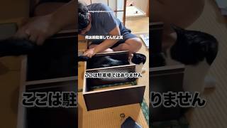 ここは駐車しやすい｜PECO