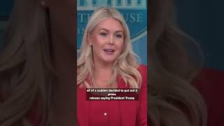 Karoline Leavitt discusses the Save America Act