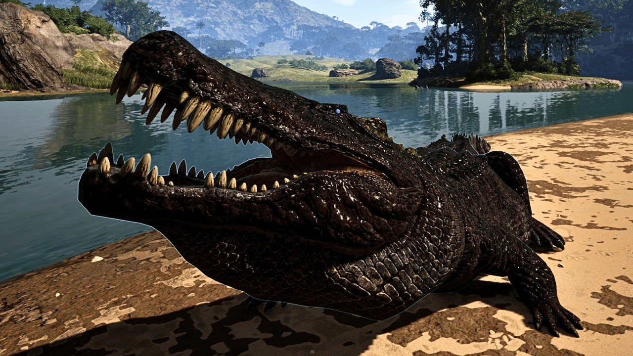 CROC WHO CAN TALK - YouTube