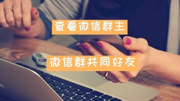 python微信机器人 2019 | 微信数据可视化图表详情数据(查看群主和共同好友等)