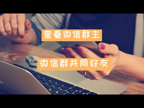 python微信机器人 2019 | 微信数据可视化图表详情数据(查看群主和共同好友等)