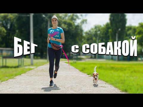 Видео: Nike Air Zoom Pegasus 35 Обзор обуви