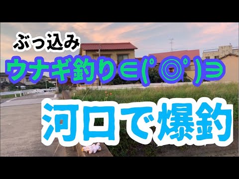 梅雨のうなぎ釣り！！夕方から爆釣目指す