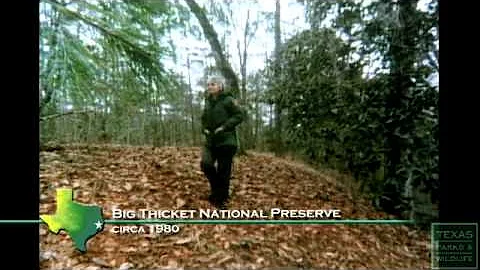 Epitaph: Saving the Big Thicket National Preserve ...