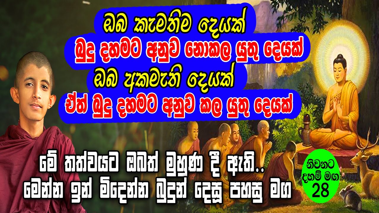 බුදු දහමේ කල යුතුම ඒත් තමන්ට කල නොහැකි දේවල් වලට ඔබ මුහුණ දී ඇති. බුදුන් දෙසු එය විසඳන මග (Part 28)