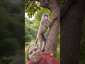 @kya Mal hai yaar#bhai is video ke support karna