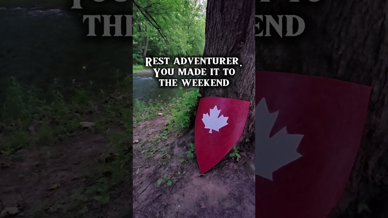You made it! #medieval #cosplay #viking #knight #bannerlord