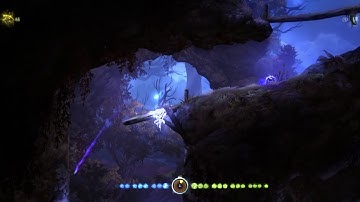 Ori DE - Bash-Only Blackroot Entry + Save Anywhere