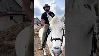 Чингиз аканг кучайди #chingiz