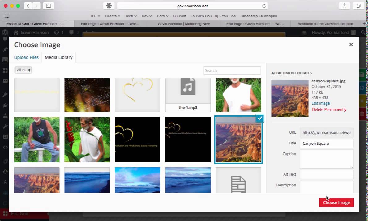 Wordpress Add Essential Grid Custom Item