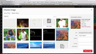 Celebrity Wordpress Add Essential Grid Custom Item Wealth