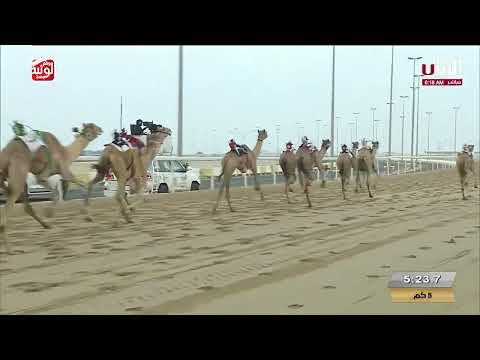 الشوط 2 بين لـ مبارك دغاش بن محمد العامري 7 32 15 مهرجان الأمير الوالد 2025 2 15 لقايا الشحانية