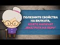 ВИАГРАТА НА ПЕРУ: Какво трябва да знаем за чудната билка?