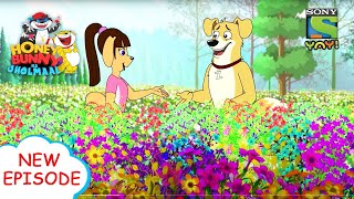    -  | Honey Bunny Ka Jholmaal | Funny videos for kids |   