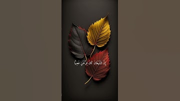 مما تيسر من سوره مريم القارئ #ياسر_الدوسري #المسجد_الأقصى #معنا_ولا_مش_معنا#اكسبلور#لايك #ترند#دويتو