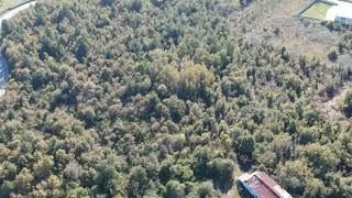 Sapanca Akcay Hacimercan Video 2