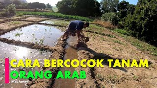 Ternyata Tanah Arab Juga Subur