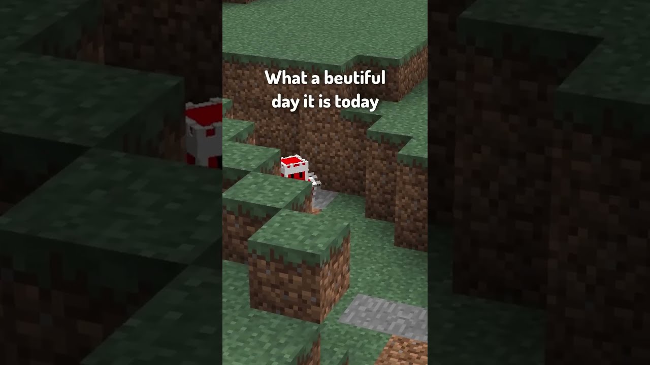 Types Of Players On A Minecraft Server