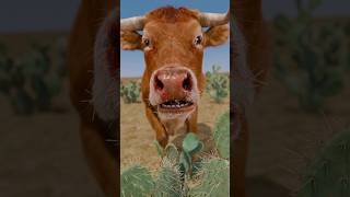 முட்கள் குத்தப்பட்ட மாடுகள் 😢 #navatalk #tamilstory #animation #stories #shorts #cow #cactus #spike