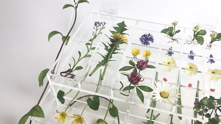 The making of 'Treasure' for Collect Open 2020