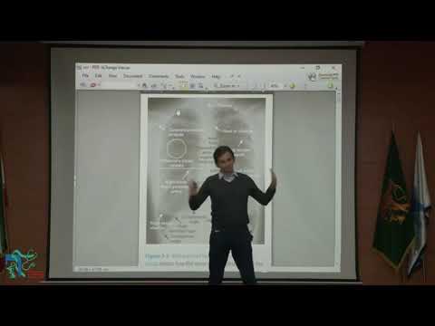 آموزش تفسیر گرافی قفسه سینه به صورت کامل