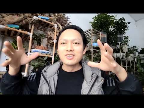 在本自具足层面，有一个关键点，许多朋友没有转过来，现在讲透。