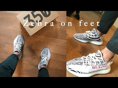 zebra v2 on feet