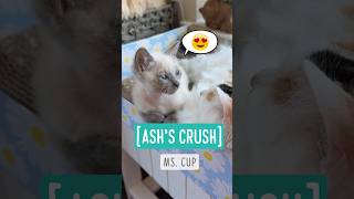 Ash's Crush