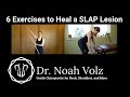 6 exercises to heal a slap lesion