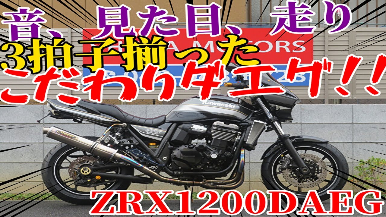 □Shiina Motors Saitama Store Base Vehicle□ Kawasaki ZRX1200DAEG