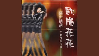 雨中徘徊 - 歐陽菲菲